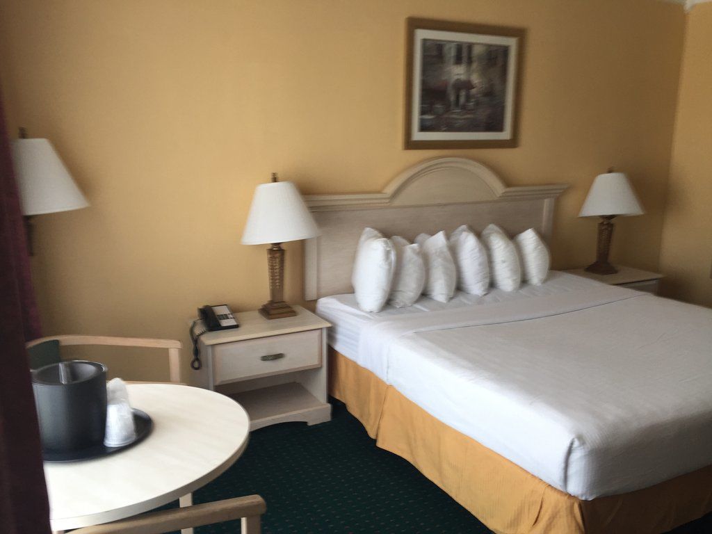 Quality Inn & Suites Conference Center Winter Haven Ngoại thất bức ảnh